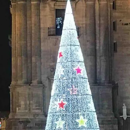 Beautiful Spanish In 公寓 托雷莫利诺斯