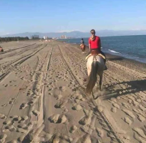 Beautiful Spanish In