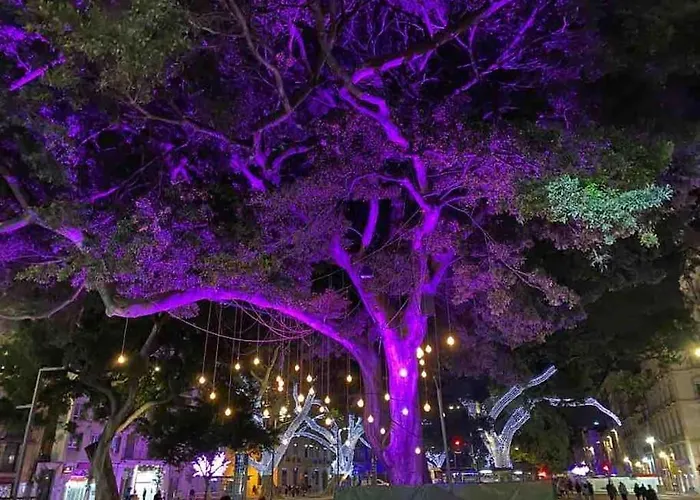 Apartment Beautiful Spanish In Torremolinos