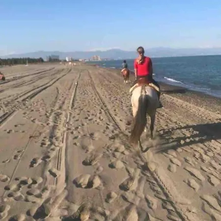 Beautiful Spanish In